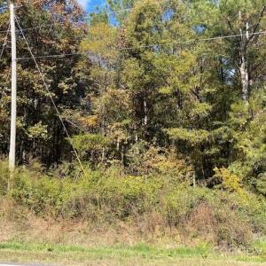 Photo #4 of Deep Springs, Peachland, NC