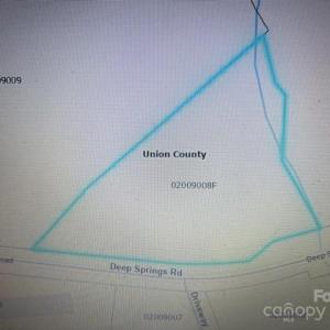 Photo #8 of Deep Springs, Peachland, NC