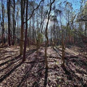 Photo #1 of TBD Theron, Lancaster, SC