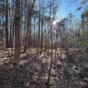 Photo #4 of TBD Theron, Lancaster, SC