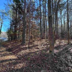 Photo #3 of TBD Theron, Lancaster, SC