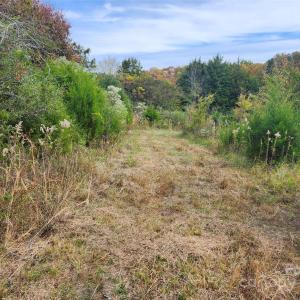 Photo #7 of 11706 NC Hwy 73, Mount Pleasant, NC