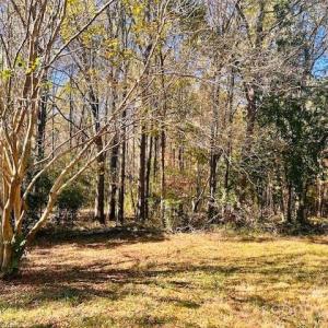 Photo #1 of 24515 Saint Martin, Albemarle, NC