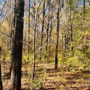 Photo #2 of 24515 Saint Martin, Albemarle, NC