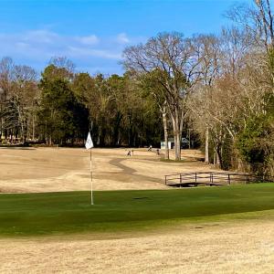 Photo #4 of 330 Pinewood, Rock Hill, SC