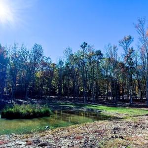 Photo #3 of Waxhaw, Mineral Springs, NC