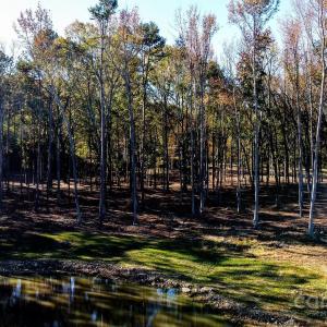 Photo #1 of Waxhaw, Mineral Springs, NC