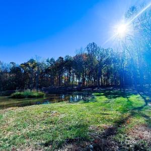 Photo #2 of Waxhaw, Mineral Springs, NC