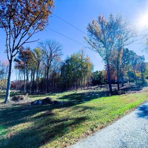 Photo #4 of Waxhaw, Mineral Springs, NC