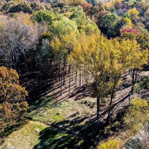 Photo #5 of Waxhaw, Mineral Springs, NC