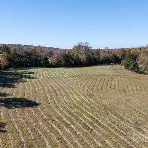 Photo #3 of Tract C Cedar Grove, Clover, SC