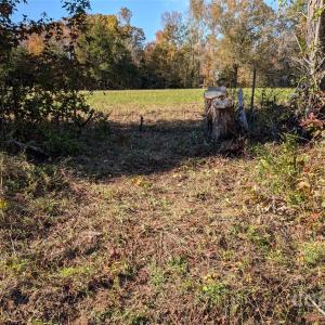 Photo #29 of Tract C Cedar Grove, Clover, SC