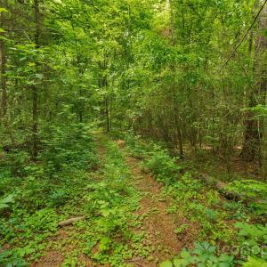 Photo #16 of Lucy Short Cut, Marshville, NC