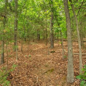 Photo #29 of Lucy Short Cut, Marshville, NC