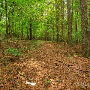 Photo #21 of Lucy Short Cut, Marshville, NC