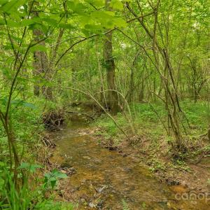 Photo #15 of Lucy Short Cut, Marshville, NC