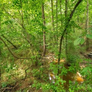 Photo #28 of Lucy Short Cut, Marshville, NC