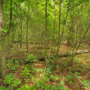 Photo #18 of Lucy Short Cut, Marshville, NC