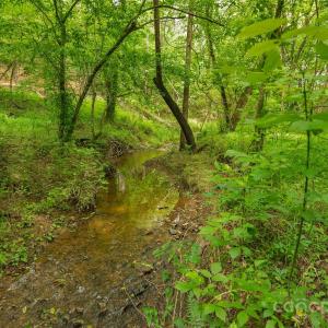 Photo #1 of Lucy Short Cut, Marshville, NC