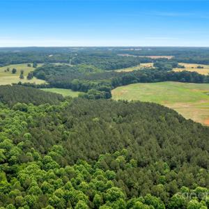 Photo #11 of Lucy Short Cut, Marshville, NC