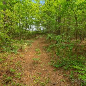 Photo #19 of Lucy Short Cut, Marshville, NC
