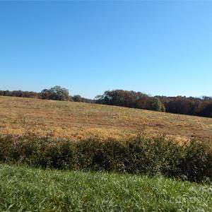 Photo #6 of 00 Carriker Carriker, Albemarle, NC