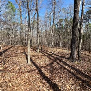 Photo #4 of Snuggs Park, Albemarle, NC