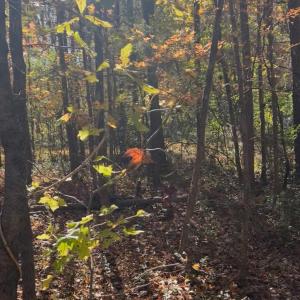 Photo #1 of Snuggs Park, Albemarle, NC