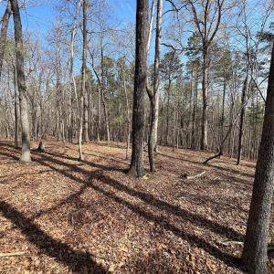 Photo #3 of Snuggs Park, Albemarle, NC