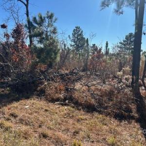 Photo #2 of 3583 Mill Creek, Kershaw, SC