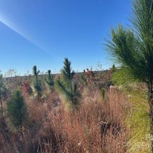 Photo #6 of 3583 Mill Creek, Kershaw, SC