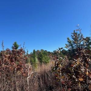 Photo #5 of 3583 Mill Creek, Kershaw, SC