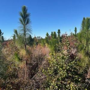 Photo #12 of 3583 Mill Creek, Kershaw, SC