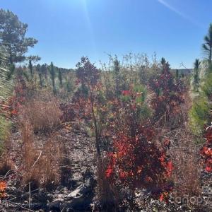 Photo #15 of 3583 Mill Creek, Kershaw, SC