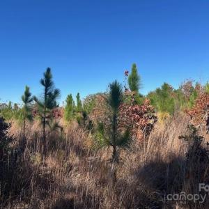 Photo #18 of 3583 Mill Creek, Kershaw, SC