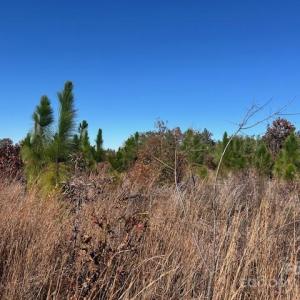 Photo #6 of 3583 Mill Creek, Kershaw, SC