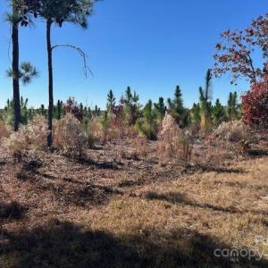 Photo #2 of 3583 Mill Creek, Kershaw, SC