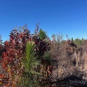 Photo #13 of 3583 Mill Creek, Kershaw, SC