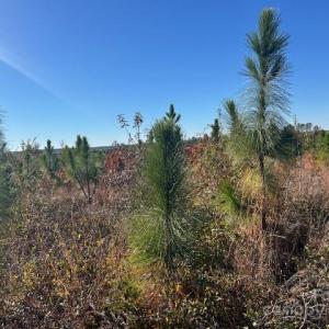 Photo #10 of 3583 Mill Creek, Kershaw, SC