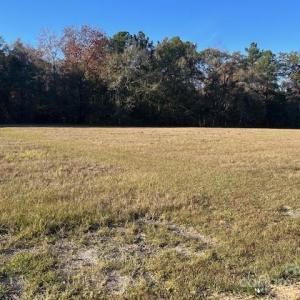 Photo #1 of Matson, Kershaw, SC