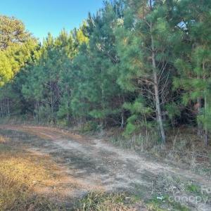 Photo #5 of Edwards, Fort Lawn, SC