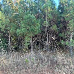 Photo #1 of Edwards, Fort Lawn, SC