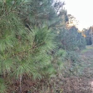 Photo #3 of Edwards, Fort Lawn, SC