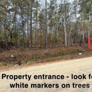 Photo #6 of Old Seine, Smyrna, SC