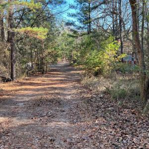 Photo #10 of Old Seine, Smyrna, SC