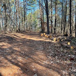 Photo #11 of Old Seine, Smyrna, SC