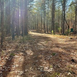 Photo #13 of Old Seine, Smyrna, SC