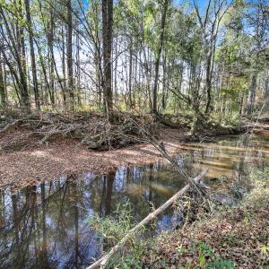 Photo #43 of 2399 Gold Mine, Kershaw, SC