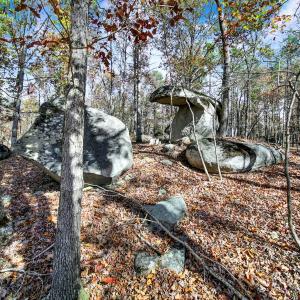 Photo #42 of 2399 Gold Mine, Kershaw, SC