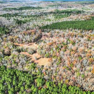 Photo #46 of 2399 Gold Mine, Kershaw, SC